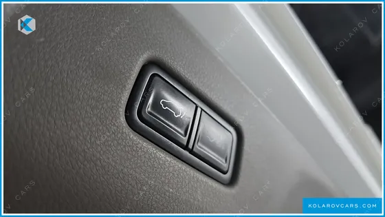 KIA CARNIVAL GASOLINE 9-SEATER HI LIMOUSINE