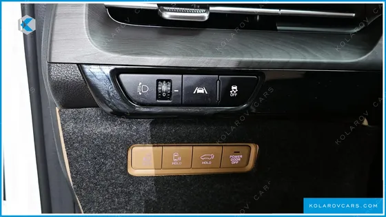 KIA CARNIVAL 9-SEATER NOBLESSE