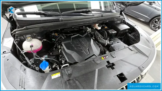 KIA CARNIVAL GASOLINE 9-SEATER HI-LIMOUSINE