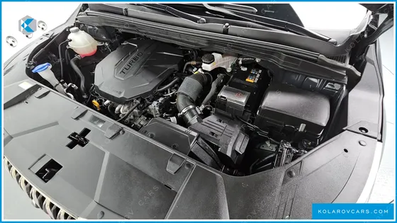 KIA CARNIVAL 9-SEATER SIGNATURE
