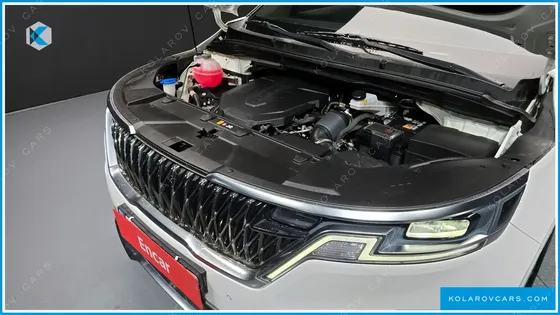 KIA CARNIVAL 9-SEATER NOBLESSE