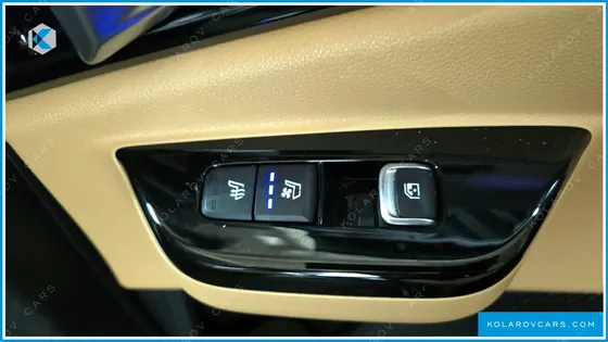 KIA CARNIVAL GASOLINE 9-SEATER SIGNATURE