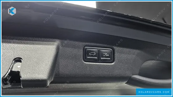 KIA CARNIVAL 9-SEATER NOBLESSE