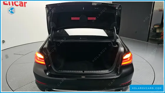BMW 5 SERIES 530I LUXURY PLUS