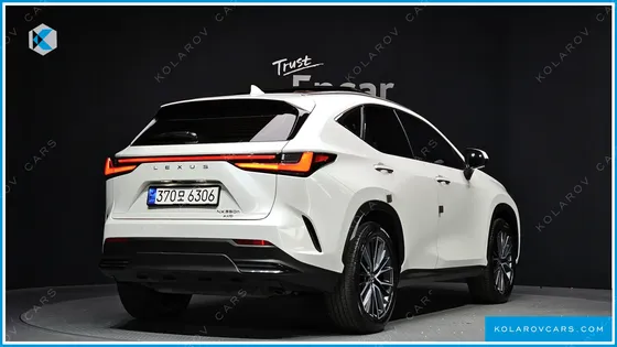 LEXUS NX LUXURY