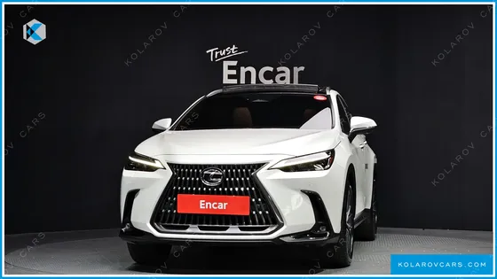 LEXUS NX LUXURY