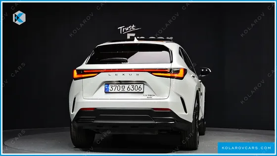 LEXUS NX LUXURY