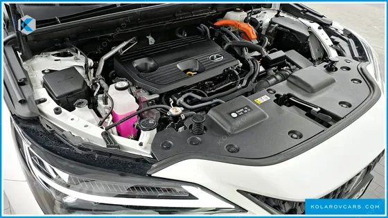 LEXUS NX LUXURY