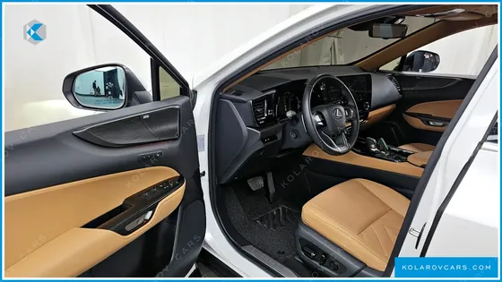 LEXUS NX LUXURY