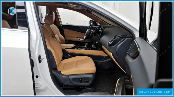 LEXUS NX LUXURY