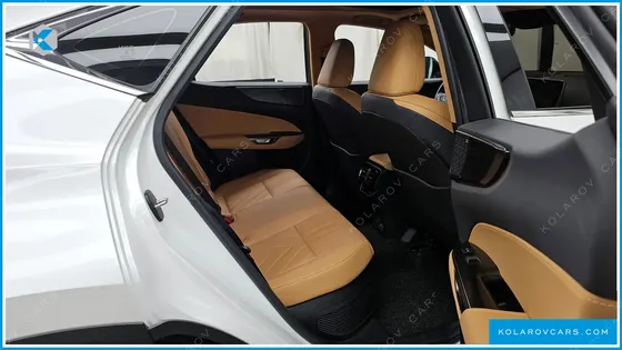 LEXUS NX LUXURY