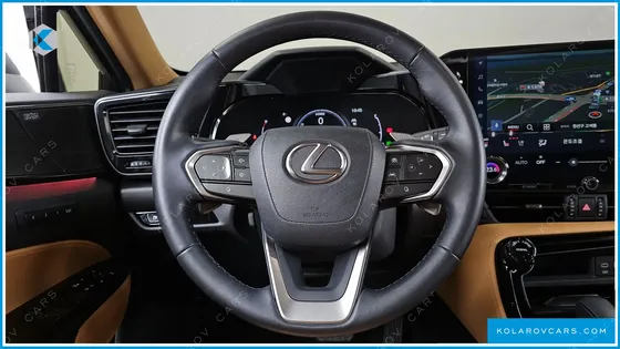 LEXUS NX LUXURY