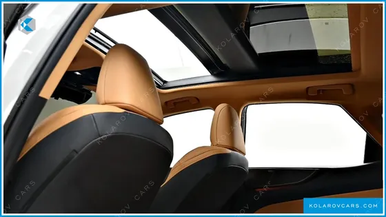 LEXUS NX LUXURY