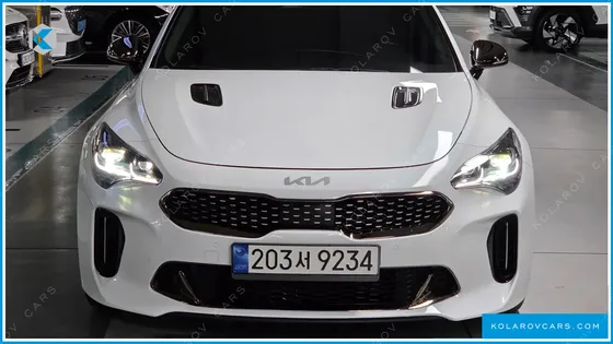KIA STINGER 2.5 AWD MASTERS