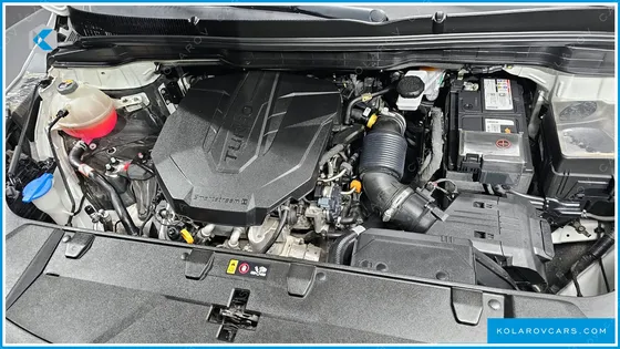 KIA CARNIVAL 9-SEATER SIGNATURE
