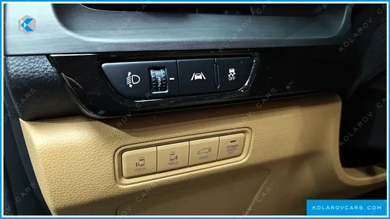 KIA CARNIVAL 9-SEATER SIGNATURE