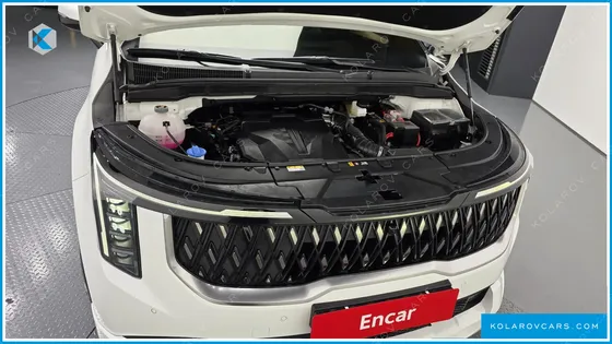 KIA CARNIVAL GASOLINE 9-SEATER HI LIMOUSINE (7-SEATER LIMOUSINE(SPECIAL VEHICLE)