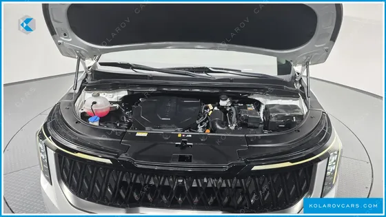 KIA CARNIVAL 9-SEATER NOBLESSE