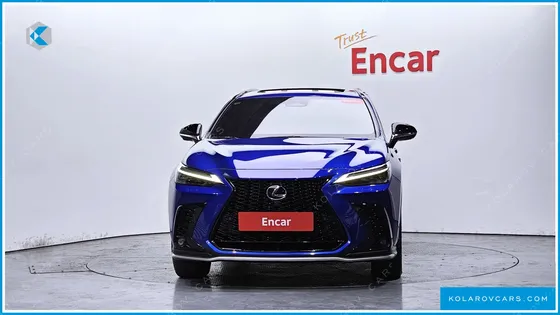 LEXUS NX F-SPORT