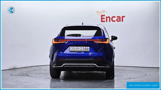 LEXUS NX F-SPORT