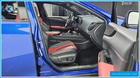 LEXUS NX F-SPORT