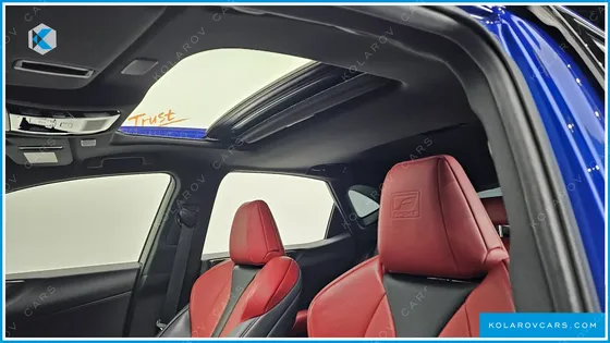 LEXUS NX F-SPORT