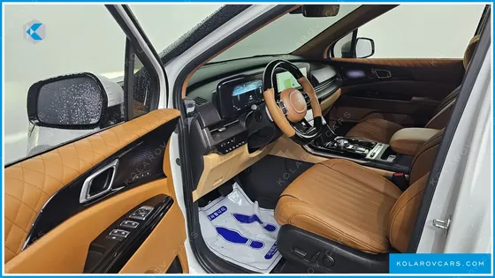 KIA CARNIVAL 9-SEATER HI-LIMOUSINE(SPECIAL VEHICLE)
