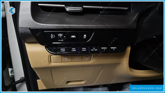 KIA CARNIVAL 9-SEATER HI-LIMOUSINE(SPECIAL VEHICLE)