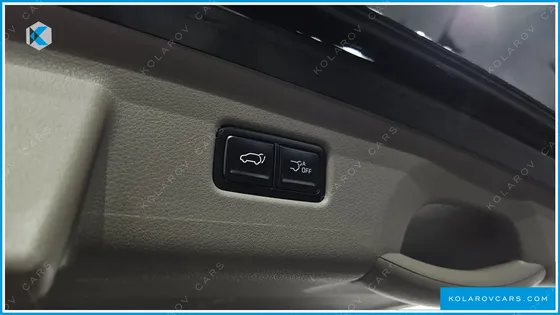KIA CARNIVAL 9-SEATER HI LIMOUSINE