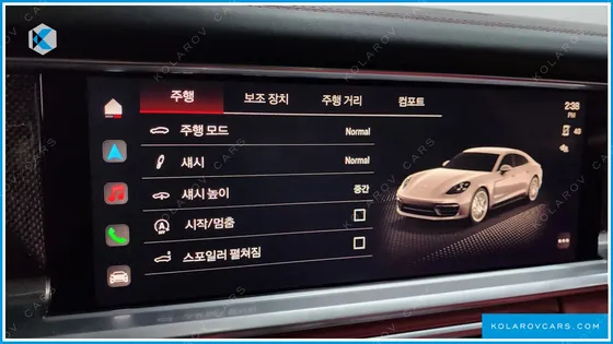 PORSCHE PANAMERA 2.9 AWD PLATINUM EDITION
