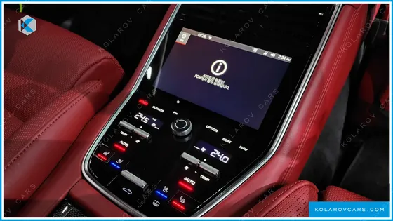 PORSCHE PANAMERA 2.9 AWD PLATINUM EDITION