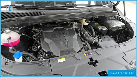 KIA CARNIVAL GASOLINE 4-SEATER HI LIMOUSINE