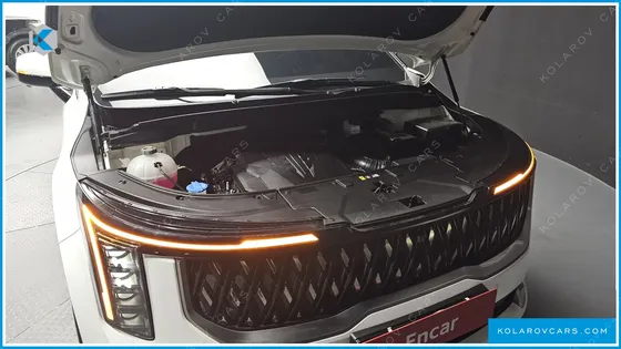 KIA CARNIVAL GASOLINE 9-SEATER HI LIMOUSINE (7-SEATER LIMOUSINE(SPECIAL VEHICLE)