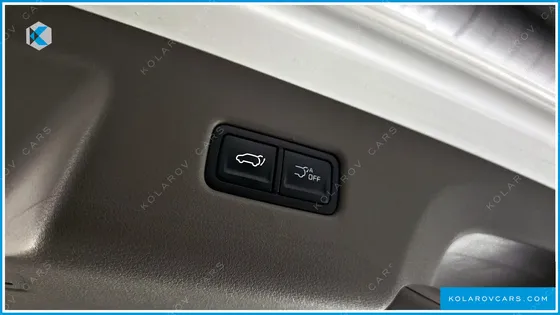 KIA CARNIVAL 9-SEATER SIGNATURE