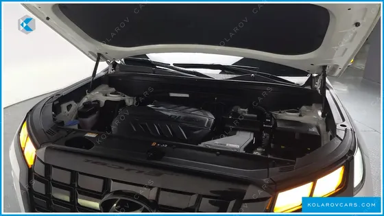 HYUNDAI PALISADE DIESEL 2.2 2WD