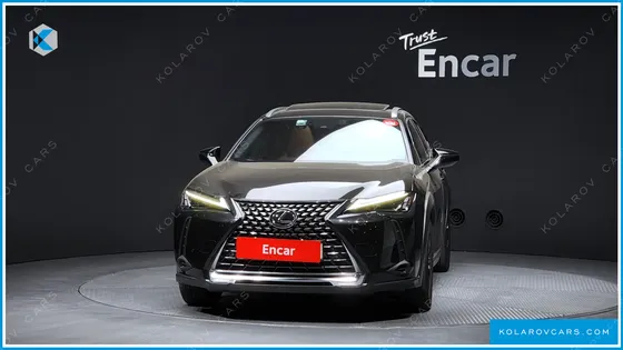 LEXUS UX 2.0 2WD