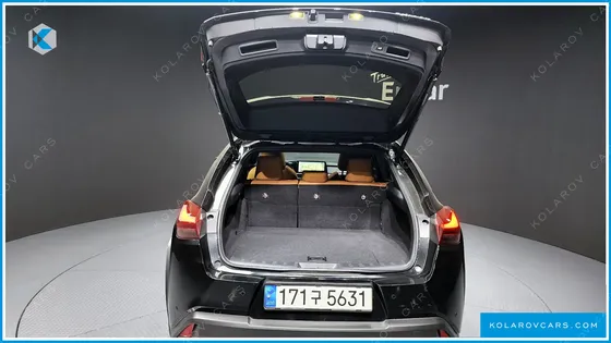 LEXUS UX 2.0 2WD