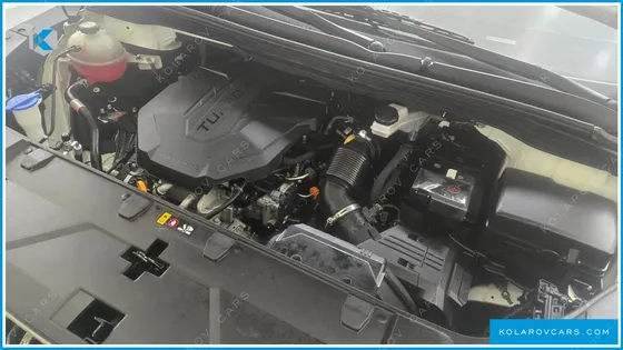 KIA CARNIVAL 9-SEATER HI-LIMOUSINE
