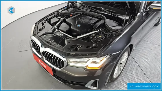 BMW 5 SERIES 520I LUXURY