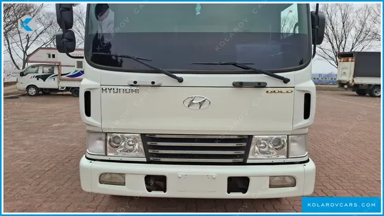 HYUNDAI MEGA TRUCK GOLD