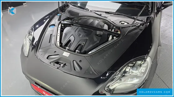 PORSCHE PANAMERA 2.9 AWD PLATINUM EDITION