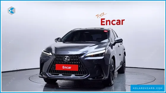 LEXUS NX PREMIUM