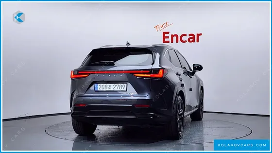 LEXUS NX PREMIUM
