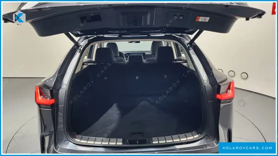 LEXUS NX PREMIUM
