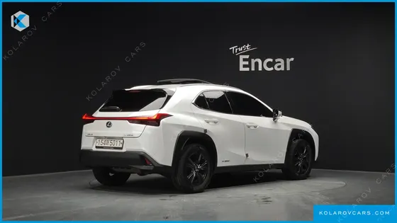 LEXUS UX 2.0 2WD