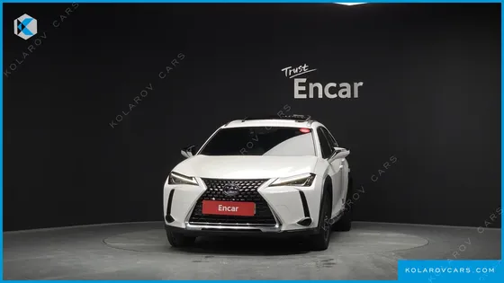 LEXUS UX 2.0 2WD