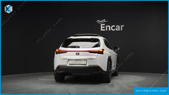 LEXUS UX 2.0 2WD