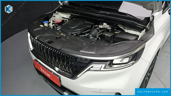 KIA CARNIVAL 9-SEATER SIGNATURE