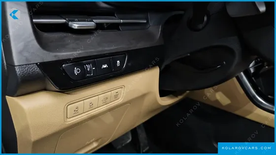 KIA CARNIVAL 9-SEATER SIGNATURE