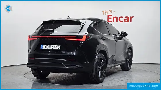 LEXUS NX PREMIUM